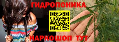 стафф Заводоуковск