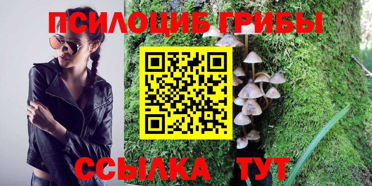 Галлюциногенные грибы Cubensis Лыткарино